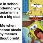 other memes Funny, Instagram, Chemistry, Write, WgXcQ, Spongebob text: Me in school wondering why plagiarism is such a big deal Me when someone steals my memes without credit 