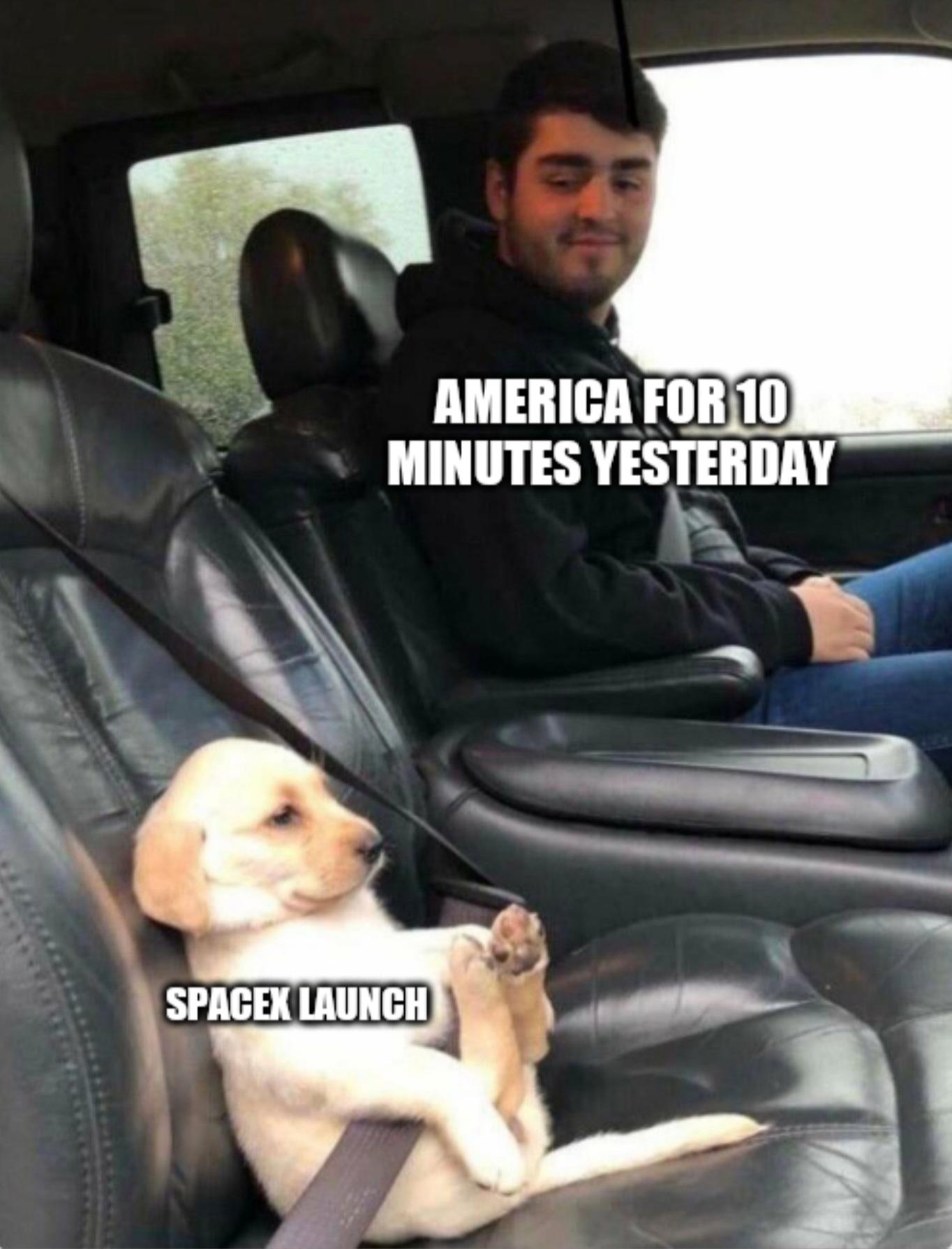 Funny, Puppy, Netflix, SpaceX, Hannibal, Elon other memes Funny, Puppy, Netflix, SpaceX, Hannibal, Elon text: AMERICA FOR 10 MINUTES YESTERDAY—- SPACEK LAUNCH 