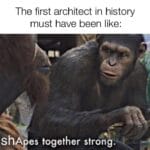 History Memes History, Architect, First Architect, Architects text: The first architect in history must have been like: Sh4ees together strong.  History, Architect, First Architect, Architects