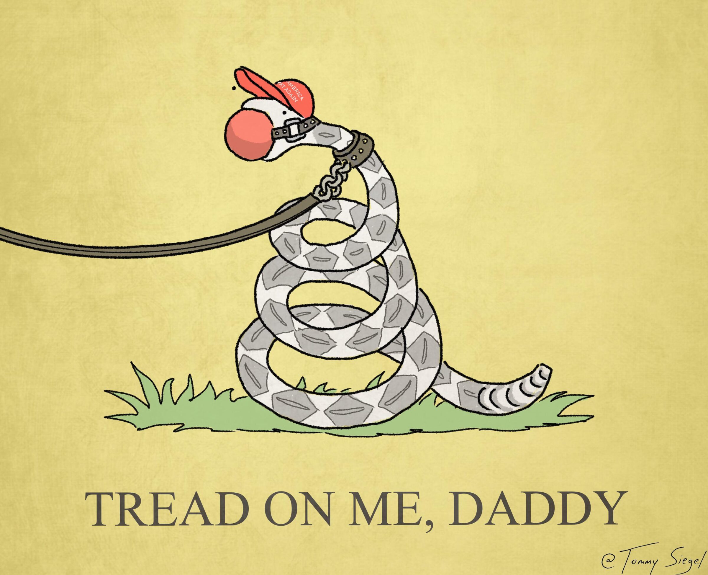 Really digging the new tea party flag design for 2020 (from tommysiegel), Trump, Tea Party Comics Really digging the new tea party flag design for 2020 (from tommysiegel), Trump, Tea Party text: A00V0 NO 