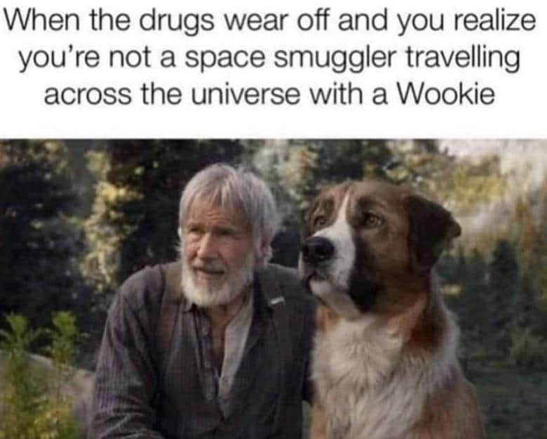 Ot-memes, Visit, OTMemes, OC, Negative, JPEG Star Wars Memes Ot-memes, Visit, OTMemes, OC, Negative, JPEG text: When the drugs wear off and you realize you're not a space smuggler travelling across the universe with a Wookie 