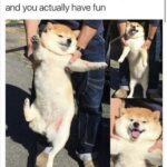Wholesome Memes Wholesome memes, Break text: when someone forces you to go out and you actually have fun  Wholesome memes, Break