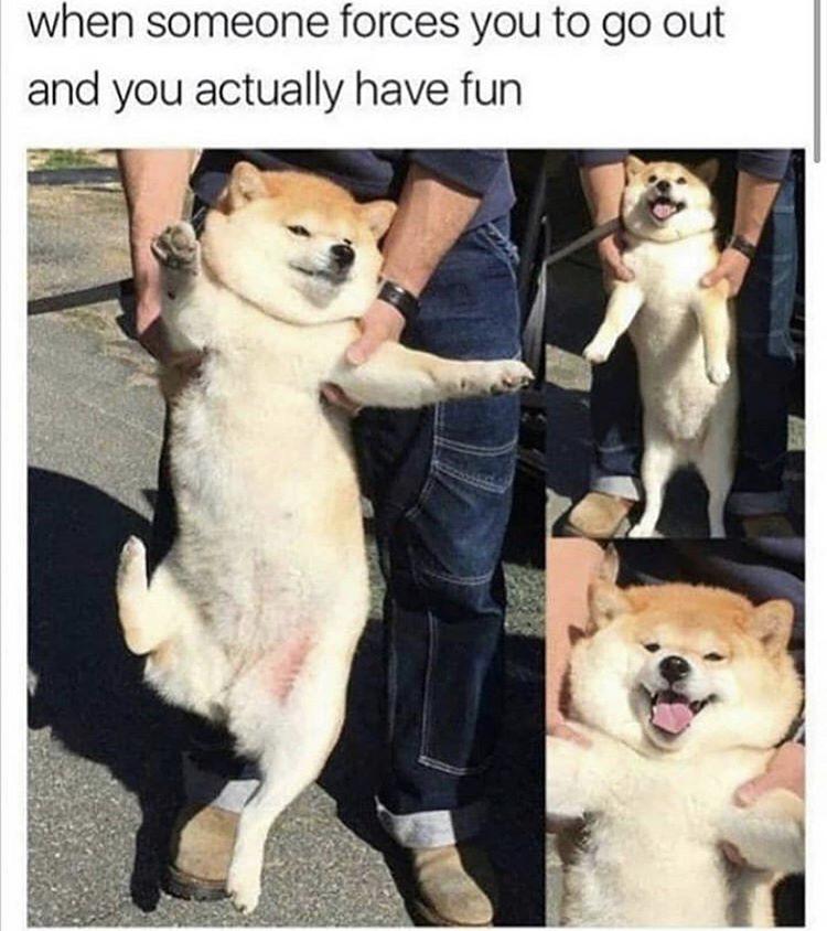 Wholesome memes, Break Wholesome Memes Wholesome memes, Break text: when someone forces you to go out and you actually have fun 