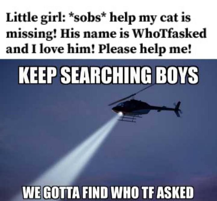 Funny, Cop, WhotfAsked, Citizen other memes Funny, Cop, WhotfAsked, Citizen text: Little girl: *sobs* help my cat is missing! His name is WhoTfasked and I love him! Please help me! KEEP SEARCHING BOYS GOTTA FIND WHO TF ASKED 