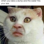 other memes Dank,  text: when you take a dump and the water hits your ass made With mematic  Dank, 