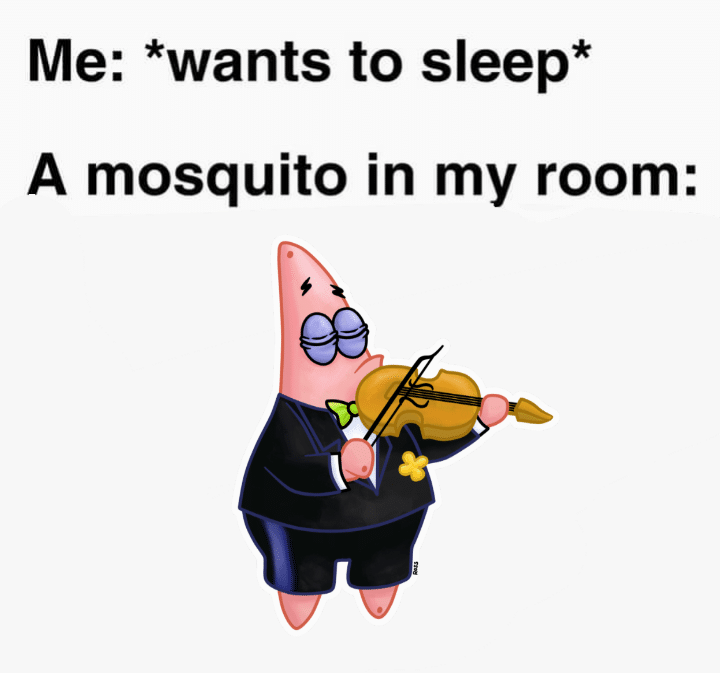 Spongebob,  Spongebob Memes Spongebob,  text: Me: *wants to sleep* A mosquito in my room: 