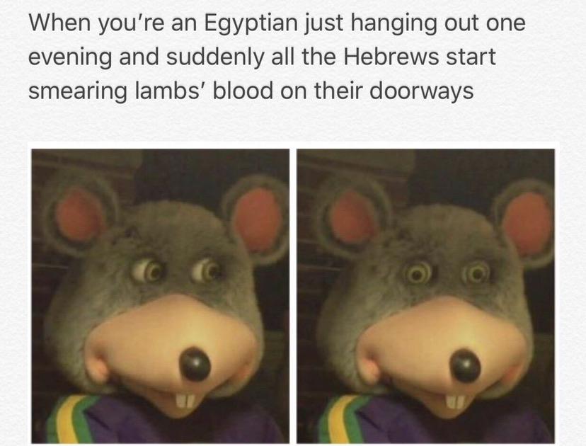 Christian, Moses, Interesting Christian Memes Christian, Moses, Interesting text: When you're an Egyptian just hanging out one evening and suddenly all the Hebrews start smearing lambs' blood on their doorways 