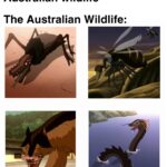 other memes Funny, Australian, Australia, Avatar, Reddit, Godzilla text: Activists: We need to save the Australian wildlife The Australian Wildlife: 