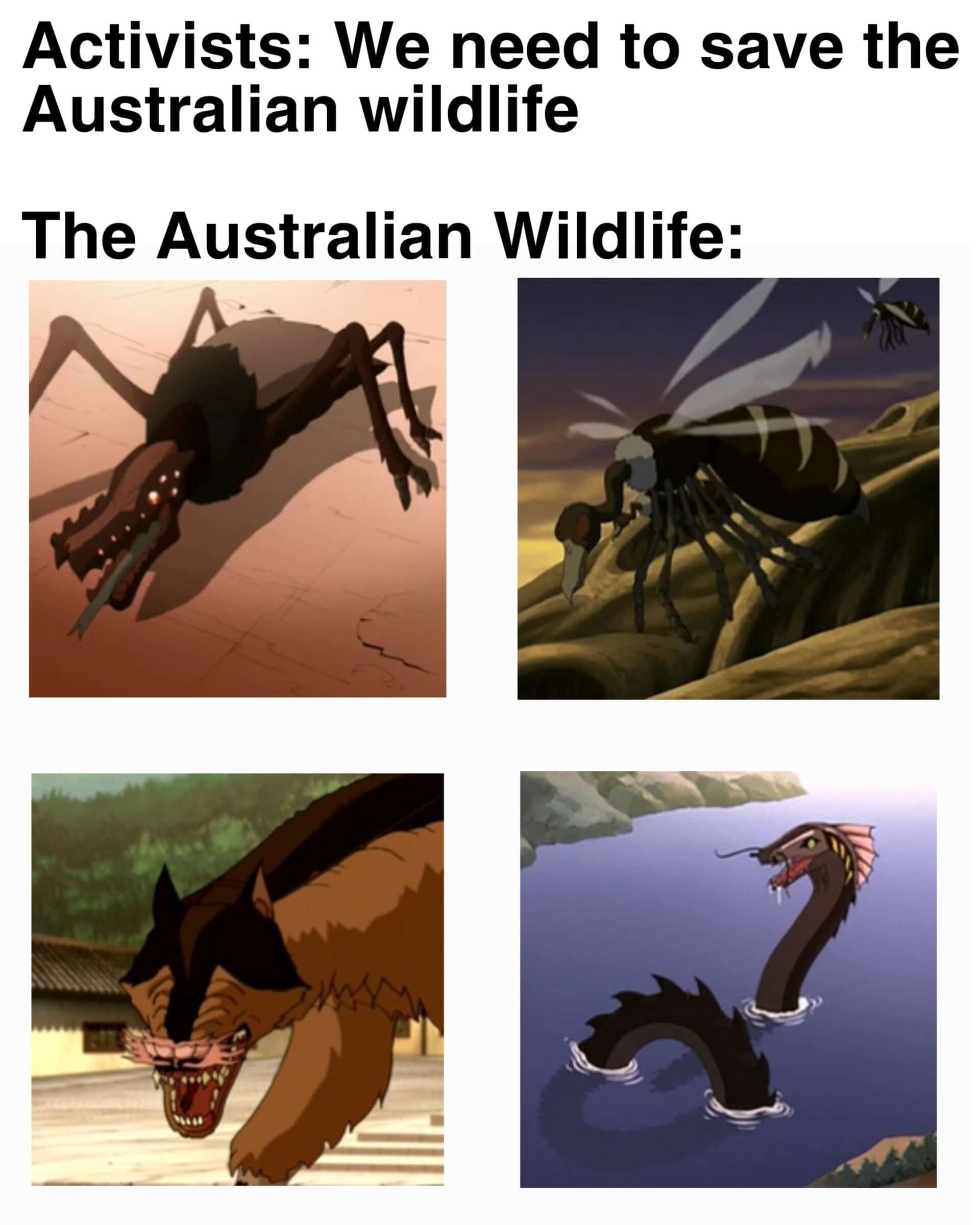 Funny, Australian, Australia, Avatar, Reddit, Godzilla other memes Funny, Australian, Australia, Avatar, Reddit, Godzilla text: Activists: We need to save the Australian wildlife The Australian Wildlife: 