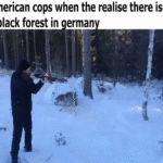 Dank Memes Dank, Black Forest, Schwarzwald, Germany, Colorado, MB text:  Dank, Black Forest, Schwarzwald, Germany, Colorado, MB