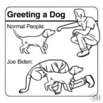 boomer memes Political, Joe Biden text: Greeting a Dog Normal People: Joe Biden:  Political, Joe Biden