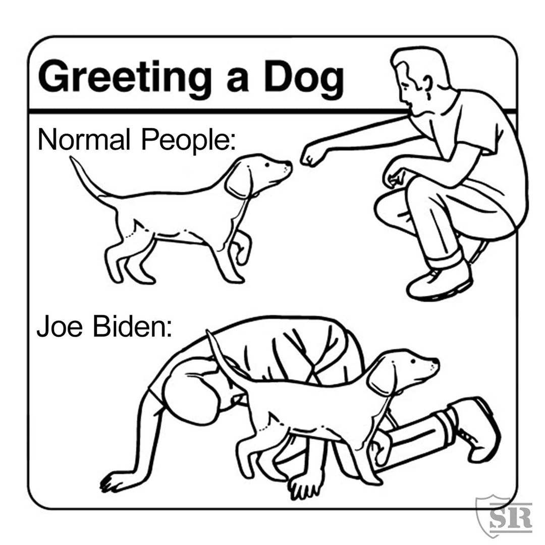 Political, Joe Biden boomer memes Political, Joe Biden text: Greeting a Dog Normal People: Joe Biden: 