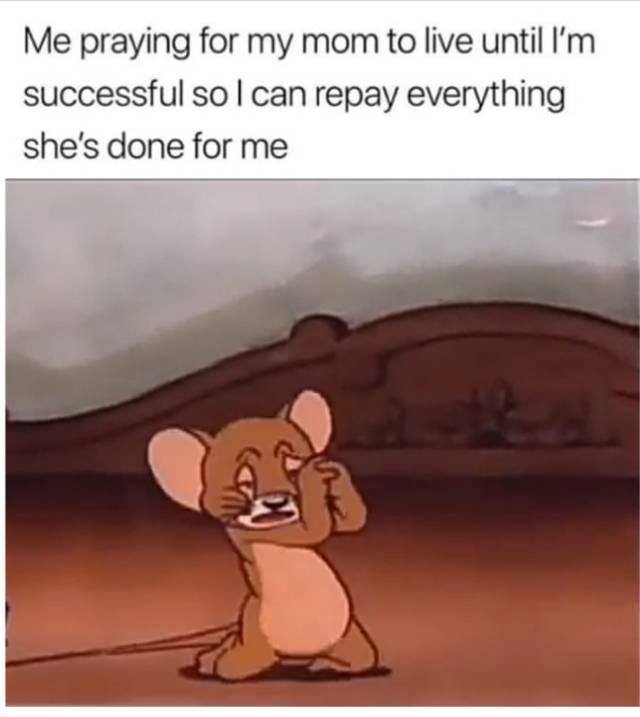 Wholesome memes, Gentleman Wholesome Memes Wholesome memes, Gentleman text: Me praying for my mom to live until I'm successful so I can repay everything she's done for me 