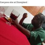 other memes Funny, Disneyland, Mickey Mouse, Mickey text: Me : *Killing a big mouse with a baseball bat* Everyone else at Disneyland :  Funny, Disneyland, Mickey Mouse, Mickey