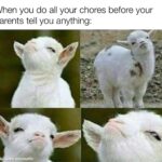 Wholesome Memes Wholesome memes, No text: When you do all your chores before your parents tell you anything: made ith mematic  Wholesome memes, No