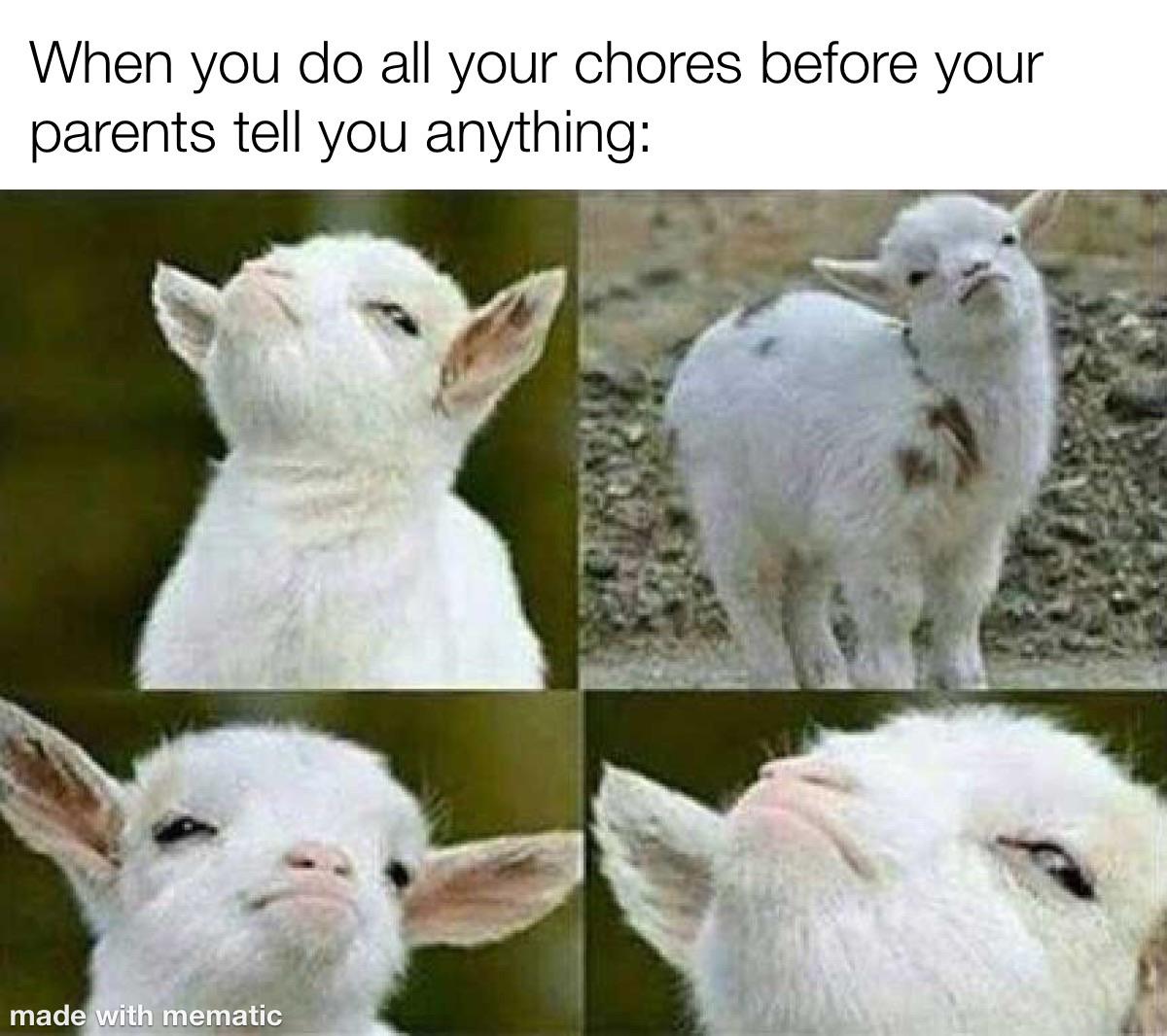 Wholesome memes, No Wholesome Memes Wholesome memes, No text: When you do all your chores before your parents tell you anything: made ith mematic 