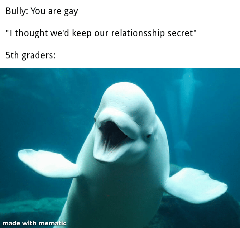 Dank,  other memes Dank,  text: Bully: You are gay 