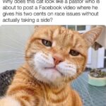 Christian Memes Christian, Christian text: y does this cat \ook a pastor out to post a Facebook video Where ne des cents on race Issues taking a sideQ  Christian, Christian