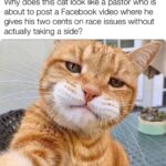 Christian Memes Christian, Christian text: y does this cat \ook a pastor out to post a Facebook video Where ne des cents on race Issues taking a sideQ 