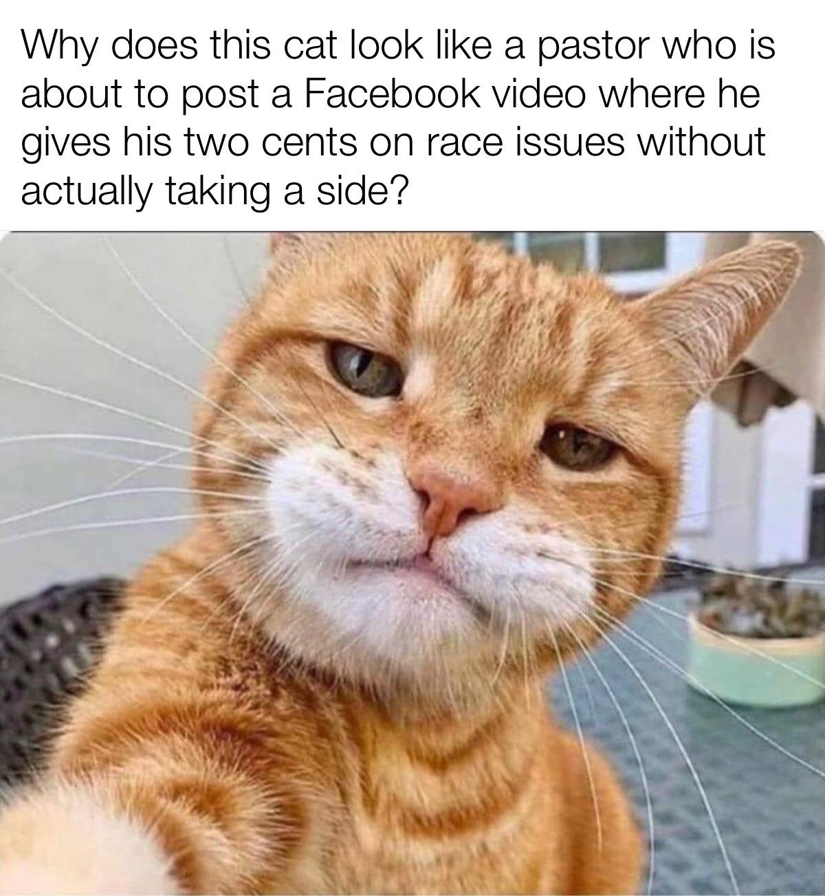 Christian, Christian Christian Memes Christian, Christian text: y does this cat \ook a pastor out to post a Facebook video Where ne des cents on race Issues taking a sideQ 