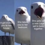 Wholesome Memes Wholesome memes, Lego text: A girl invites you to hei house She takes- you to her bedroom She gets oui a new Lego