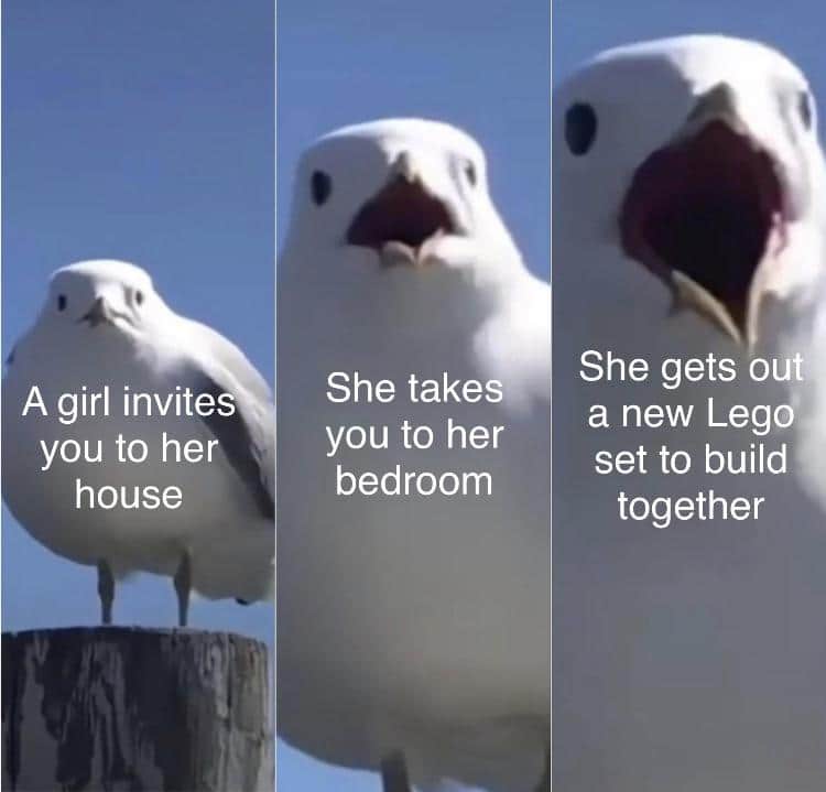 Wholesome memes, Lego Wholesome Memes Wholesome memes, Lego text: A girl invites you to hei house She takes- you to her bedroom She gets oui a new Lego' set to build together 