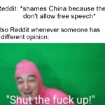 other memes Funny, China, Reddit, Chinese, Shut, TikTok text: Reddit: *shames China because they don
