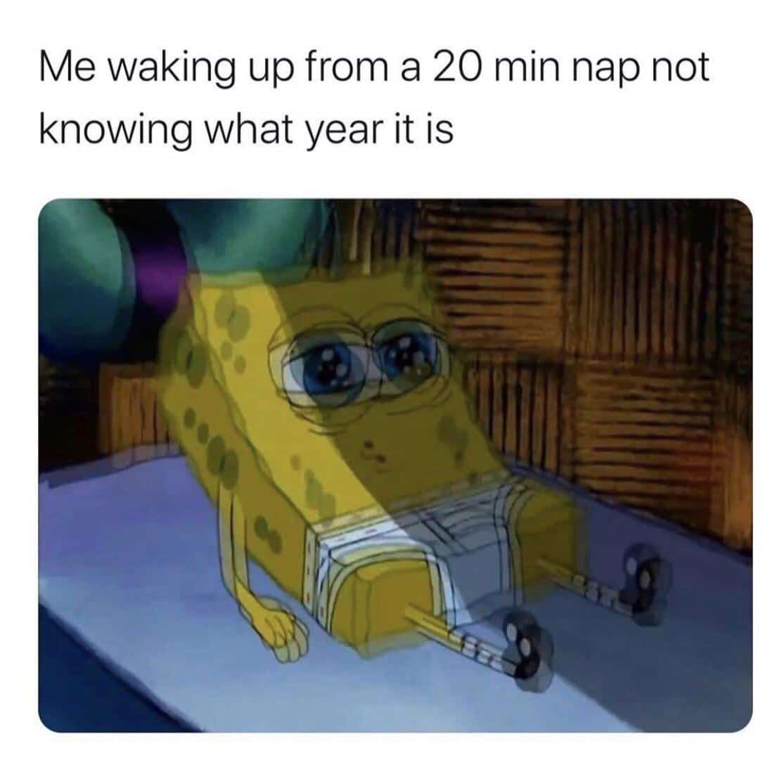 Spongebob, Sweet, Gary Spongebob Memes Spongebob, Sweet, Gary text: Me waking up from a 20 min nap not knowing what year it is 