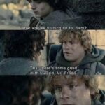 Wholesome Memes Wholesome memes, Sam, Frodo, LOTR, Mr, Bob text: wk holdin one to, Sam? Theft ere