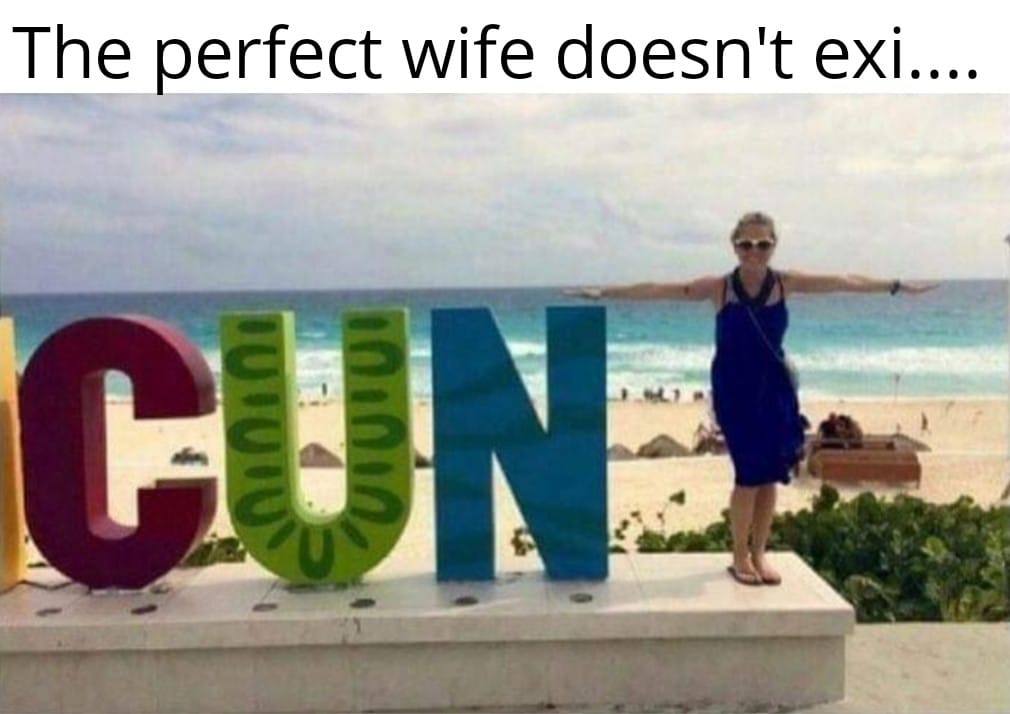 Dank, Cancun other memes Dank, Cancun text: The perfect wife doesn't exi 
