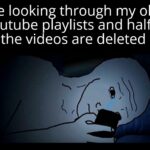 Dank Memes Dank, YouTube, RecoverMy.Video, Tube text: me looking through my old youtube playlists and half of the videos are deleted  Dank, YouTube, RecoverMy.Video, Tube