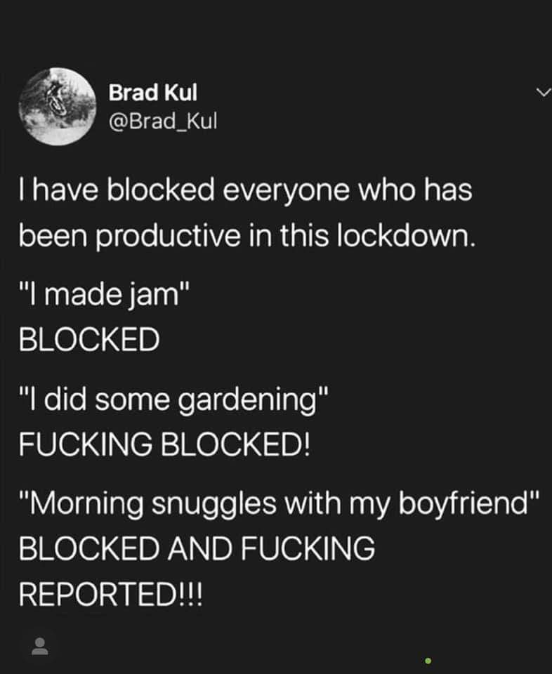 Depression,  depression memes Depression,  text: Brad Kul @Brad_Kul I have blocked everyone who has been productive in this lockdown. 