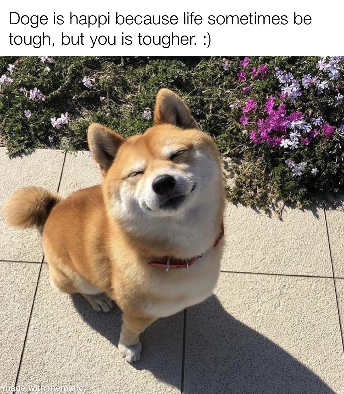 Wholesome memes, Doge Wholesome Memes Wholesome memes, Doge text: Doge is happi because life sometimes be tough, but you is tougher. :) 