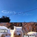 other memes Funny, Doris, Denis, Penis, Gay text: Andy Giurtalis Jun 24 • Some poor old Gary somewhere was just hoping to declare his love for Doris today. Doris the pilot Gary 