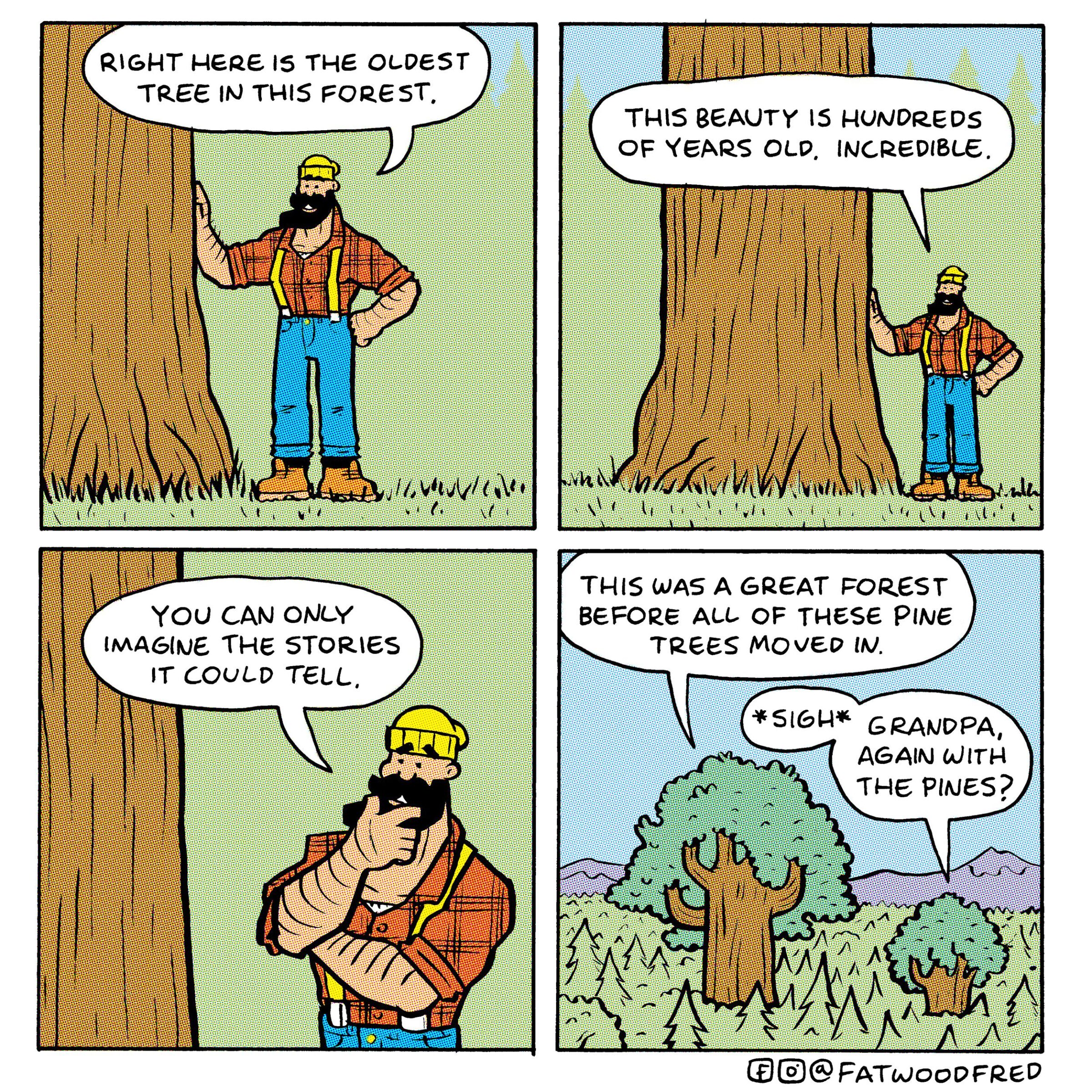 The oldest tree,  Comics The oldest tree,  text: RIGHT Hec IS THE OLDEST TREE IN THIS FOREST. You CAN ONLY IMA6(VE THE IT COULD ST0Rles TELL, THIS IS HUNDZEDS OF OLD. INCREDIBLE. THIS WAS A GREAT FOREST BEFORE ACC OF THESE PINE -rzees movep w. GRANDPA, THE PINES? 