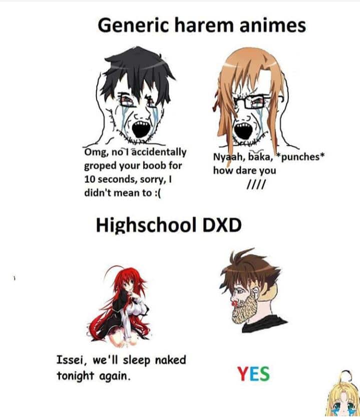 Anime, Doragon Anime Memes Anime, Doragon text: Generic harem animes mg, nöl accidentally groped your boob for 10 seconds, sorry, I didn't mean to :( Ny h, baka, punches* how dare you Highschool D)(D Issei, we'll sleep naked tonight again. YES 