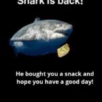 Wholesome Memes Wholesome memes, Terry, RemindMeBot, Reminder, UTC, Reminders text: Terry the Fat Shark is back! He bought you a snack and hope you have a good day! Terry will be back again to bring you another snack and wish you a great day. 