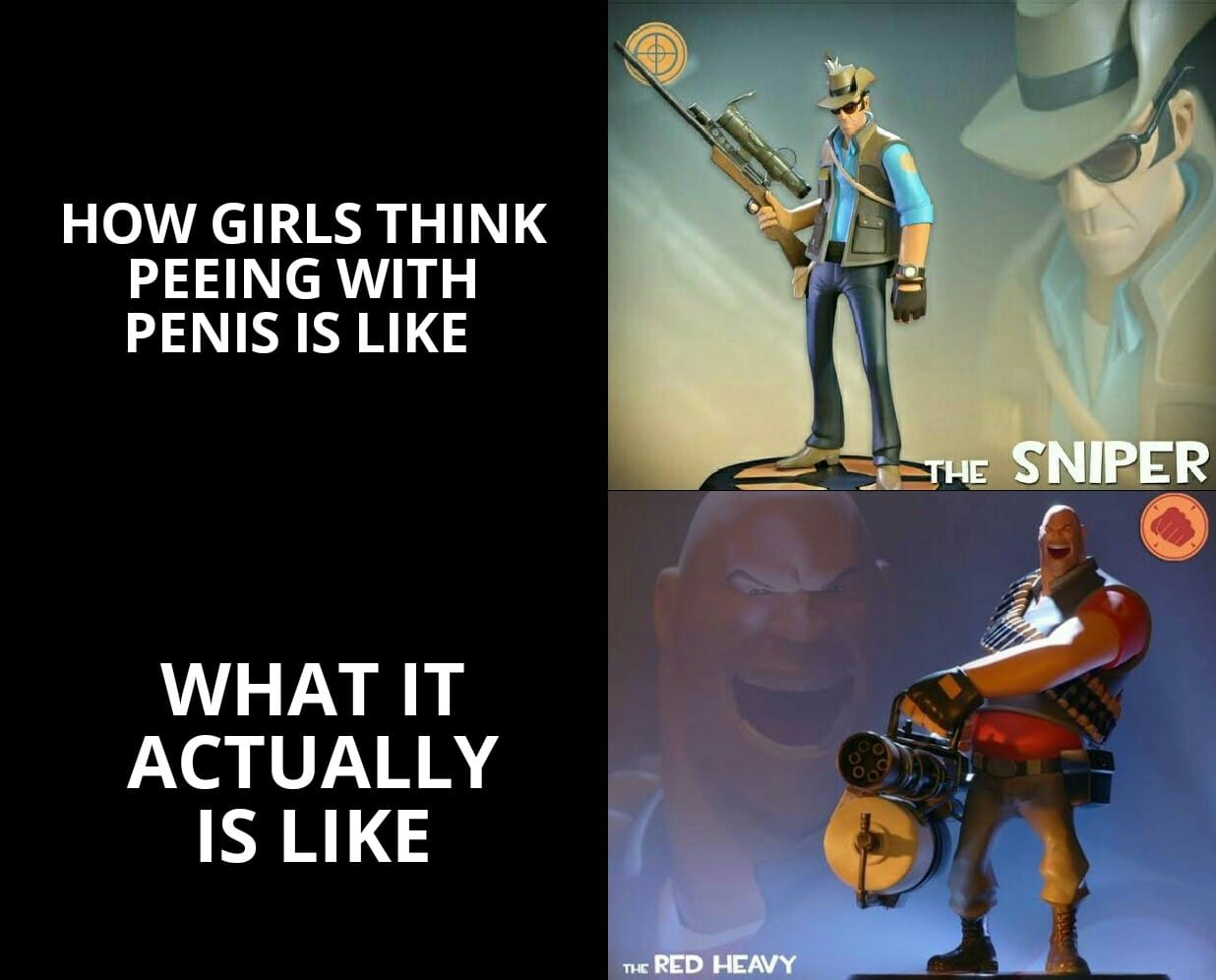 Dank, Heavy Dank Memes Dank, Heavy text: HOW GIRLS THINK PEEING WITH PENIS IS LIKE WSNIPER WHAT IT ACTUALLY IS LIKE RED HEAVY 
