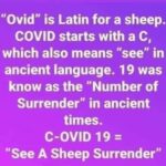boomer memes Political, Ovis, Ovid text: "Ovid" is Latin for a sheep. COVID starts with a C, which also means "see" in ancient language. 19 was know as the "Number of Surrender" in ancient times. C-OVID 19 = "See A Sheep Surrender"  Political, Ovis, Ovid