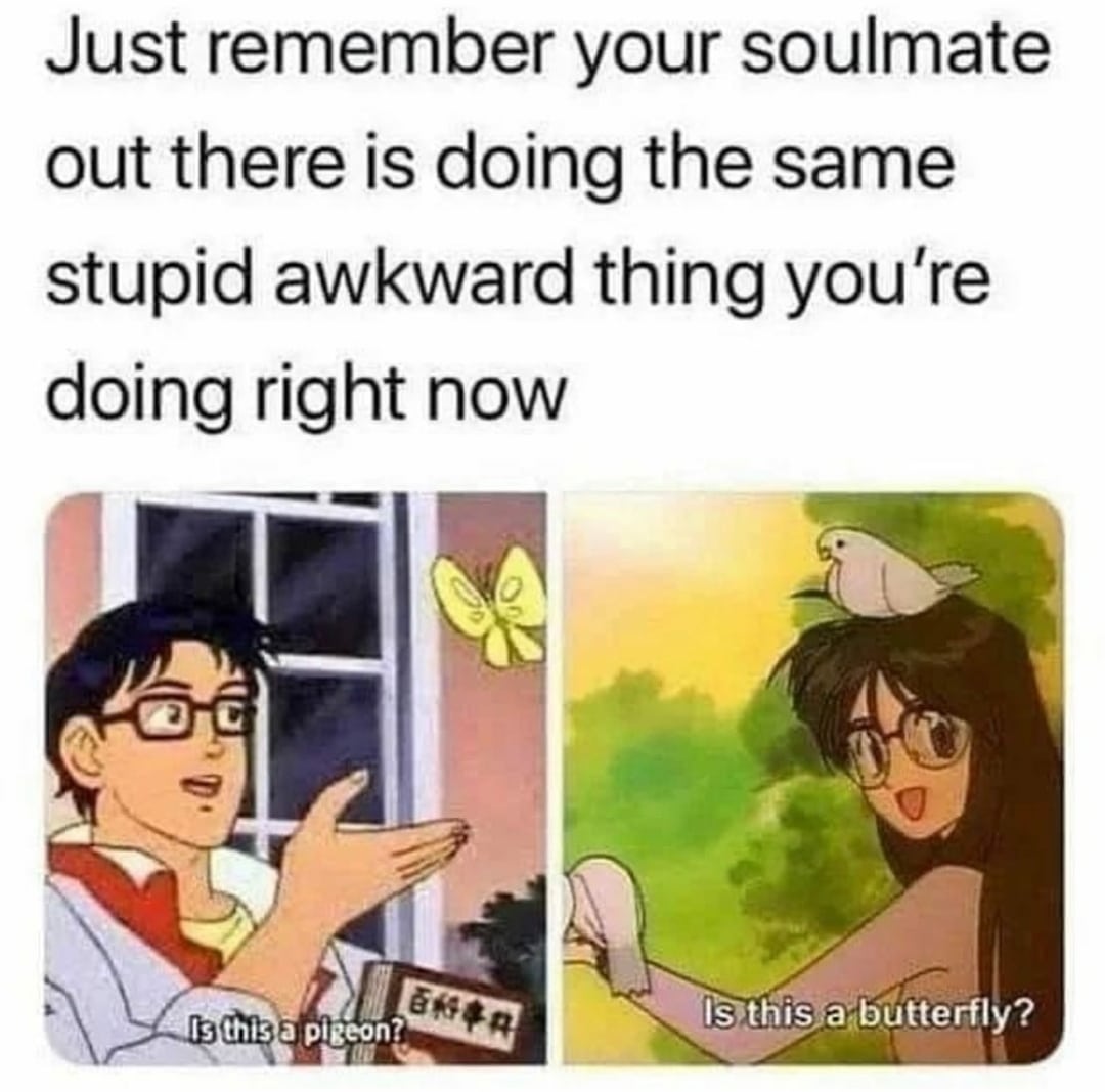 Wholesome memes, Finally Wholesome Memes Wholesome memes, Finally text: Just remember your soulmate out there is doing the same stupid awkward thing you're doing right now Is this a pigeon? Is this ä\butterfly? 