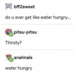 Water Memes Water,  text: bff2sweet do u ever get like water hungry... pitsu-pitsu Thirsty? analmals water hungry  Water, 