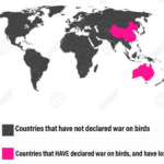 History Memes History, China, Australia, Chinese, Sparrow, Emus text: Countries that have not declared war on birds Countries that HAVE declared war on birds, and have lost 