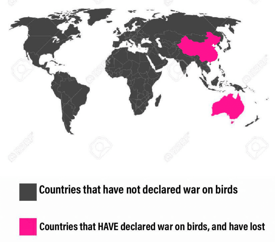 History, China, Australia, Chinese, Sparrow, Emus History Memes History, China, Australia, Chinese, Sparrow, Emus text: Countries that have not declared war on birds Countries that HAVE declared war on birds, and have lost 