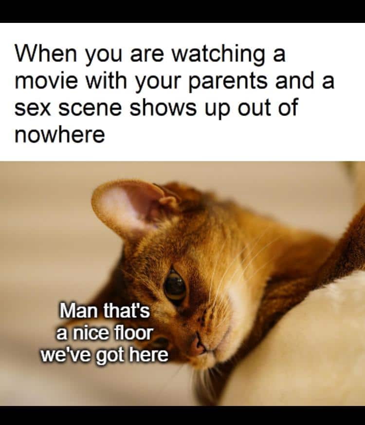 Dank, Visit, Feedback, WgXcQ, TV, Qw4 other memes Dank, Visit, Feedback, WgXcQ, TV, Qw4 text: When you are watching a movie with your parents and a sex scene shows up out of nowhere Man that's a nice floor we've got here 
