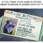 Spongebob Memes Spongebob, Mr, Spongebob, Zit Tooya, DOB, Patrick text: IF YOU THINK YOUR NAME IS STUPID REMEMBER SOMEONE IS NAMED WHAT ZIT TOOYA DRIVER • 6013747 ccnss: s Iso SHELL st. HAIR: imgfiipcom  Spongebob, Mr, Spongebob, Zit Tooya, DOB, Patrick