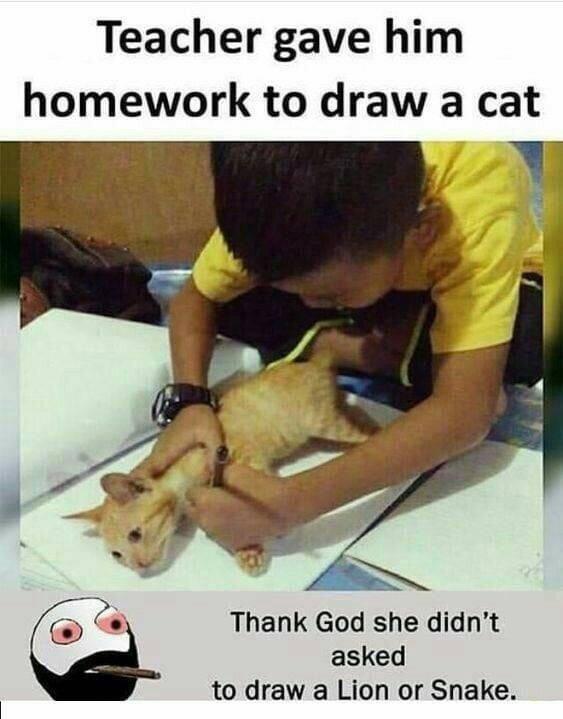 Cringe,  cringe memes Cringe,  text: Teacher gave him homework to draw a cat Thank God she didn't asked to draw a Lion or Snake. 