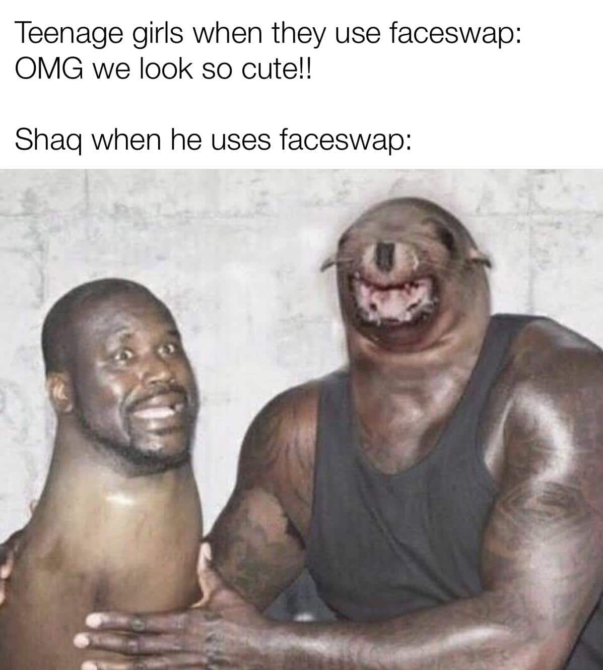 Funny, Shaq, Seal, Neil, Silent Hill, Neal other memes Funny, Shaq, Seal, Neil, Silent Hill, Neal text: Teenage girls when they use faceswap: OMG we look so cute!! Shaq when he uses faceswap: 