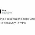 Water Memes Water, Murray, Drink text: finn @awaisfinn drinking a lot of water is good until you have to piss every 15 mins  Water, Murray, Drink
