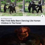 other memes Funny, Brave, Wl9, Scottish, QnD3, Ewoks text: BUZZNICK.COM Man Finds Baby Bears Dancing Like Human Children In The Forest Boys?!! 