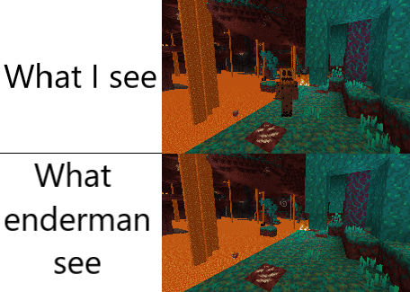 Minecraft, Nether minecraft memes Minecraft, Nether text: What I see What enderman see 